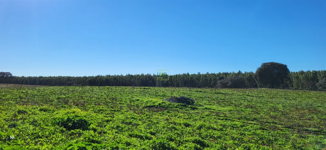 Quinta T0 para Venda em Idanha-A-Nova e Alcafozes Foto 27