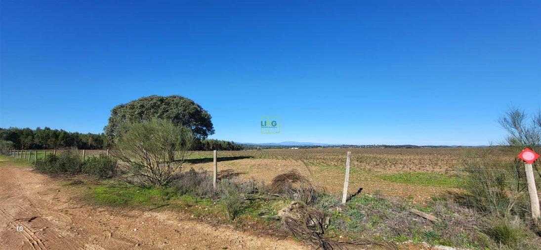 Quinta T0 para Venda em Idanha-A-Nova e Alcafozes Foto 39