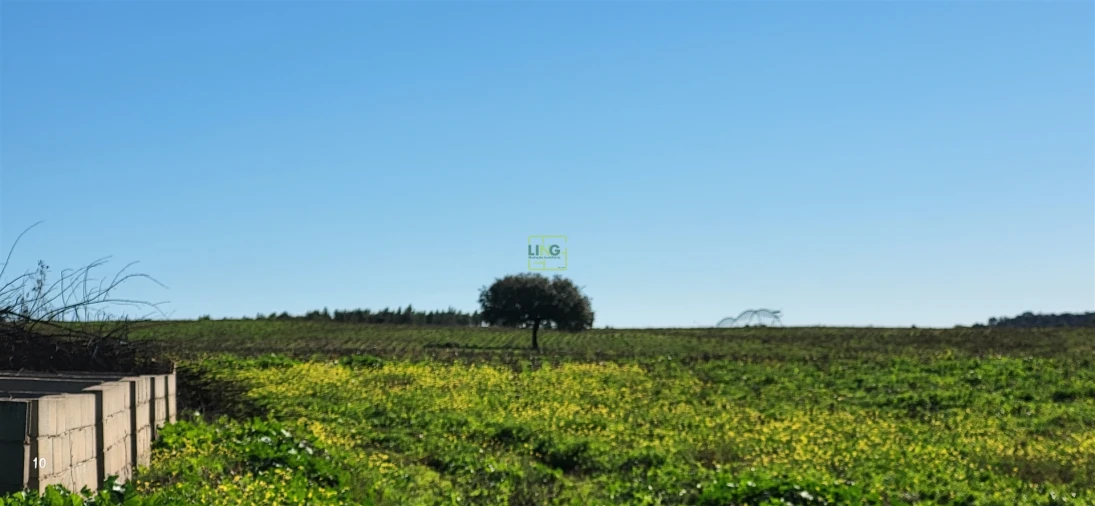 Quinta T0 para Venda em Idanha-A-Nova e Alcafozes Foto 26