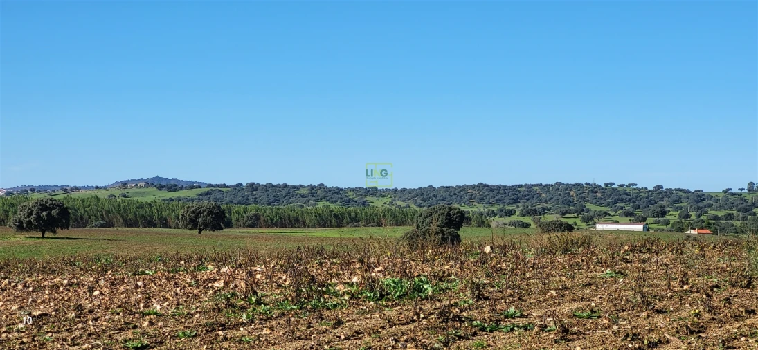 Quinta T0 para Venda em Idanha-A-Nova e Alcafozes Foto 34