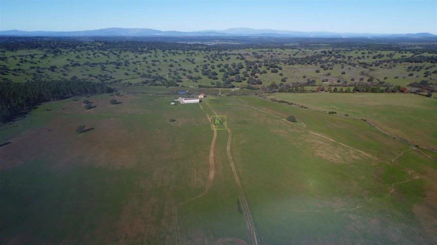 Quinta T0 para Venda em Idanha-A-Nova e Alcafozes Foto 46