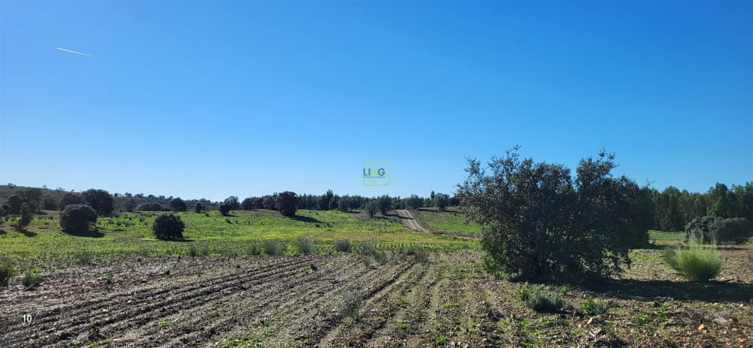 Quinta T0 para Venda em Idanha-A-Nova e Alcafozes Foto 45