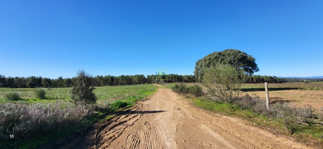 Quinta T0 para Venda em Idanha-A-Nova e Alcafozes Foto 38