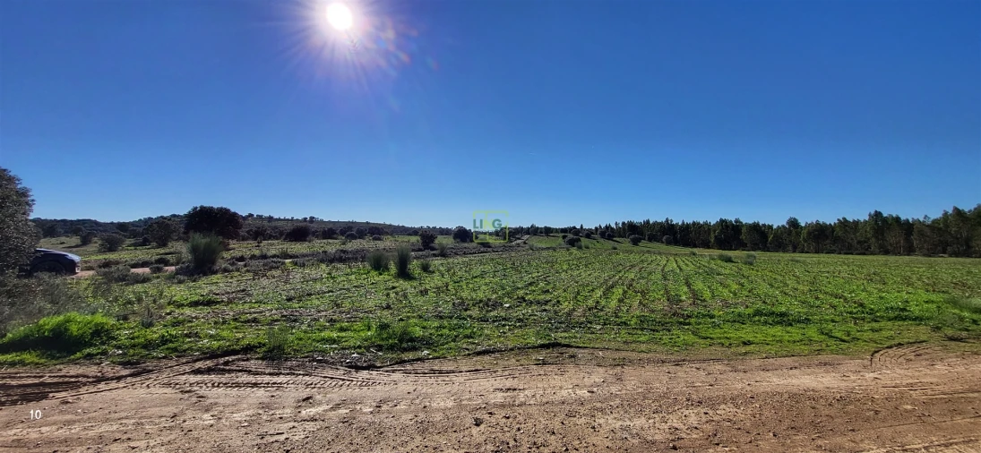 Quinta T0 para Venda em Idanha-A-Nova e Alcafozes Foto 41