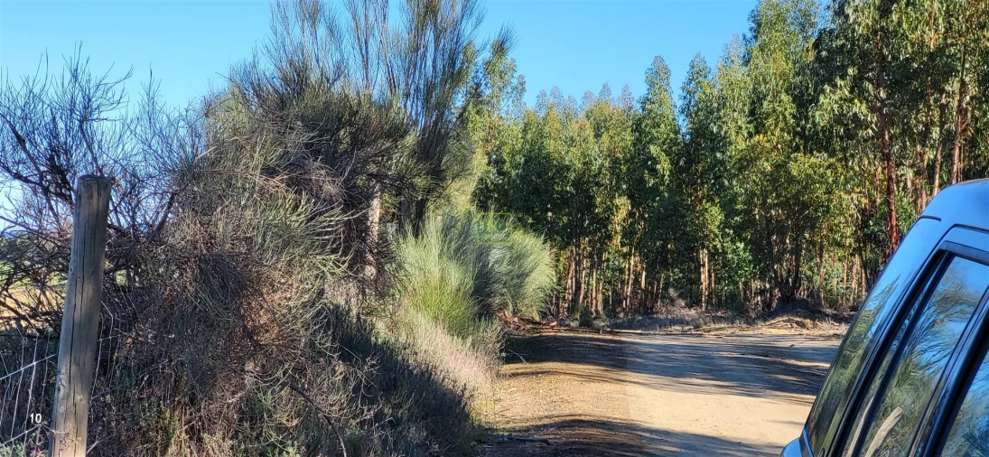 Quinta T0 para Venda em Idanha-A-Nova e Alcafozes Foto 35