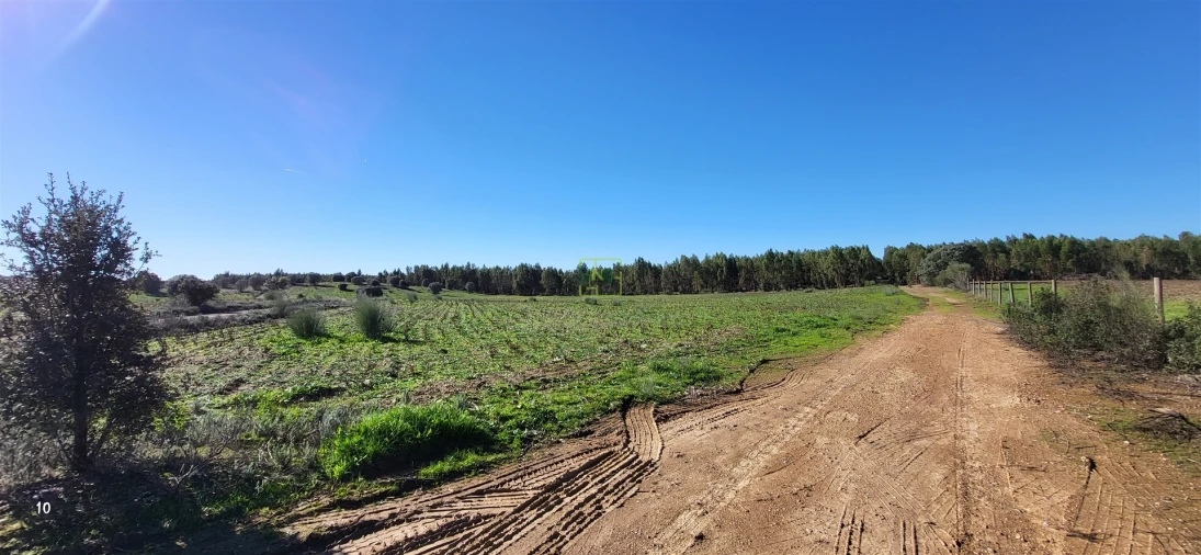 Quinta T0 para Venda em Idanha-A-Nova e Alcafozes Foto 40