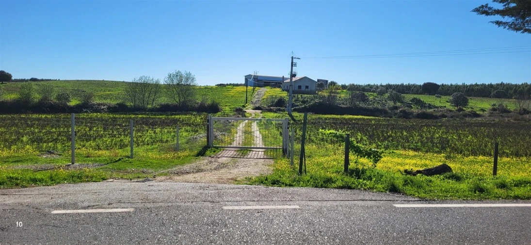 Quinta T0 para Venda em Idanha-A-Nova e Alcafozes Foto 30