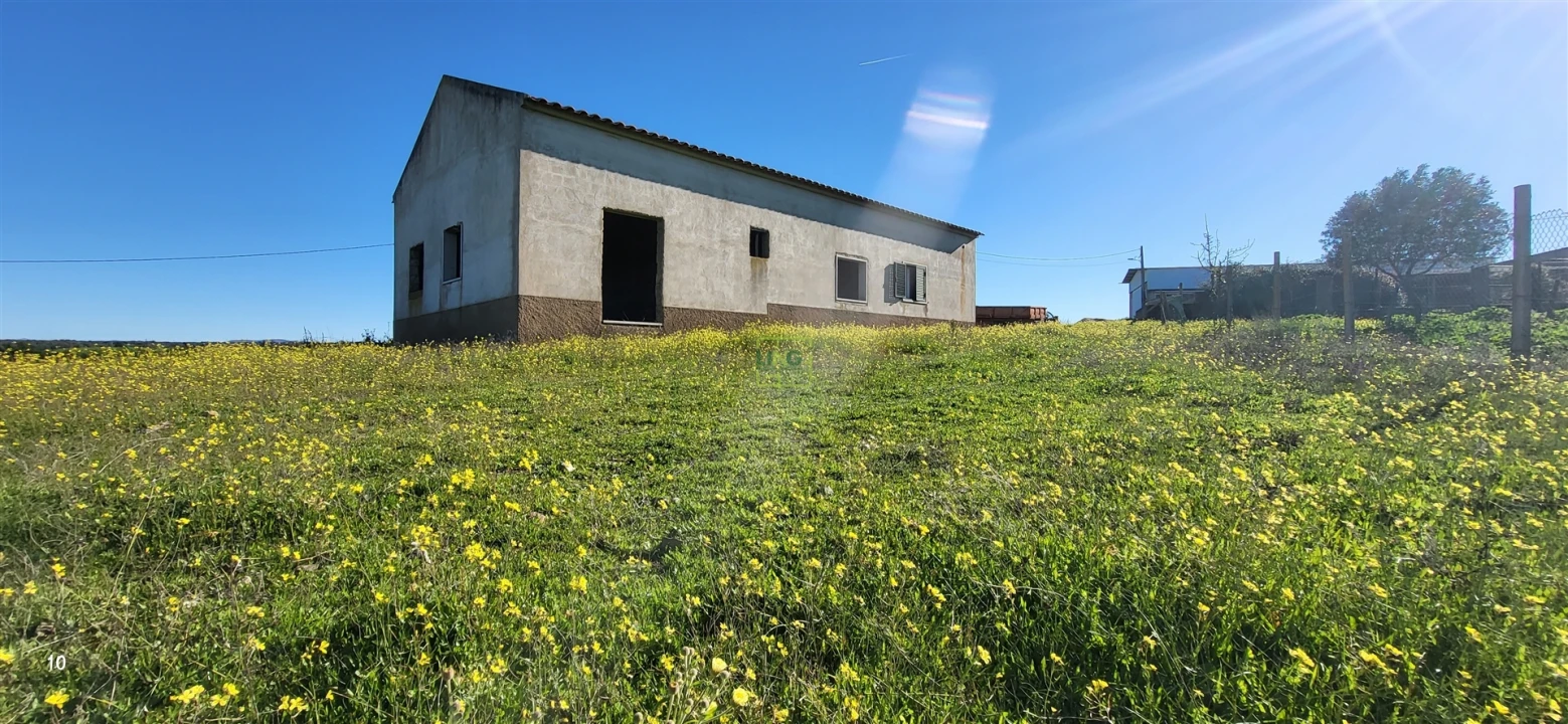 Quinta T0 para Venda em Idanha-A-Nova e Alcafozes Foto 8