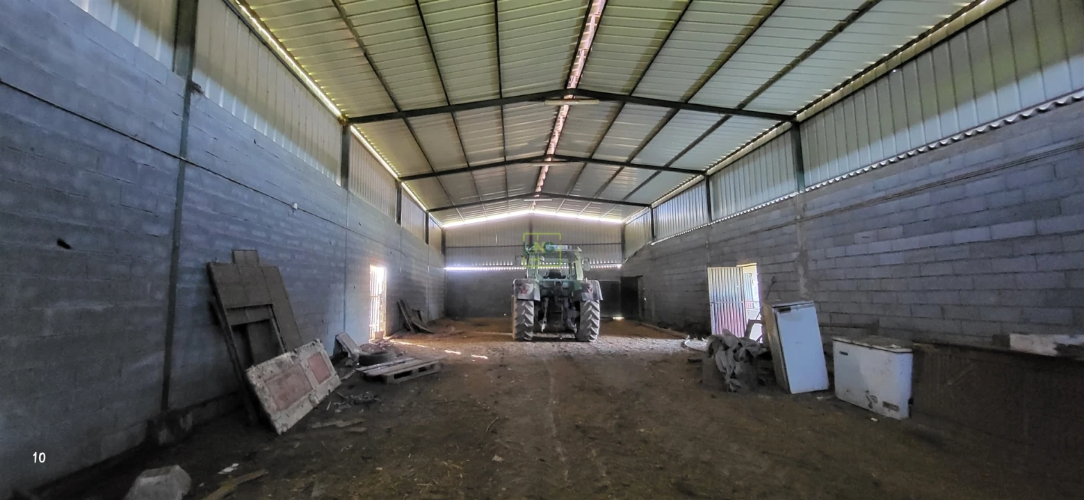 Quinta T0 para Venda em Idanha-A-Nova e Alcafozes Foto 22