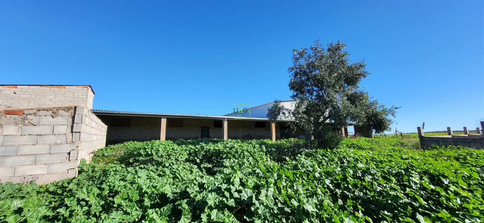 Quinta T0 para Venda em Idanha-A-Nova e Alcafozes Foto 25