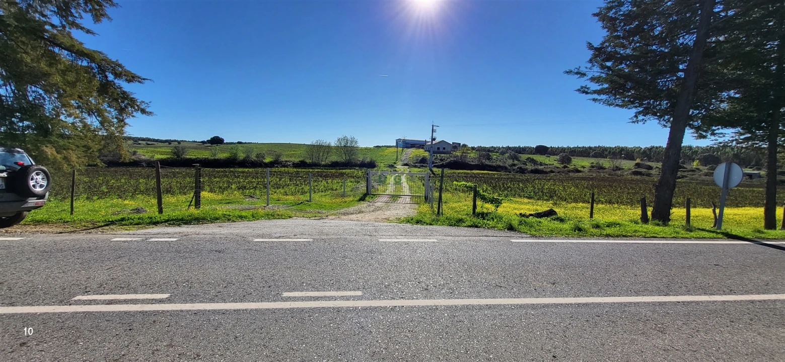 Quinta T0 para Venda em Idanha-A-Nova e Alcafozes Foto 31