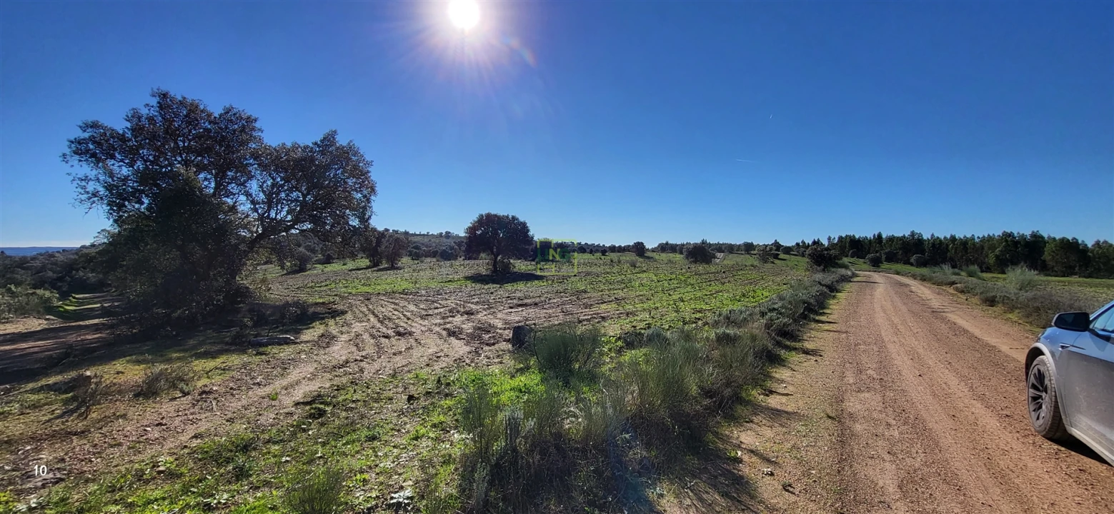 Quinta T0 para Venda em Idanha-A-Nova e Alcafozes Foto 37