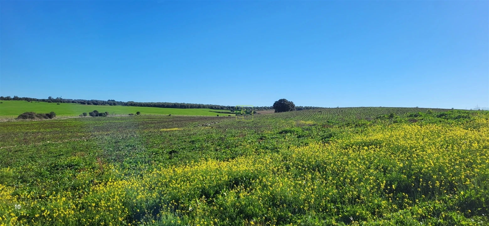 Quinta T0 para Venda em Idanha-A-Nova e Alcafozes Foto 4