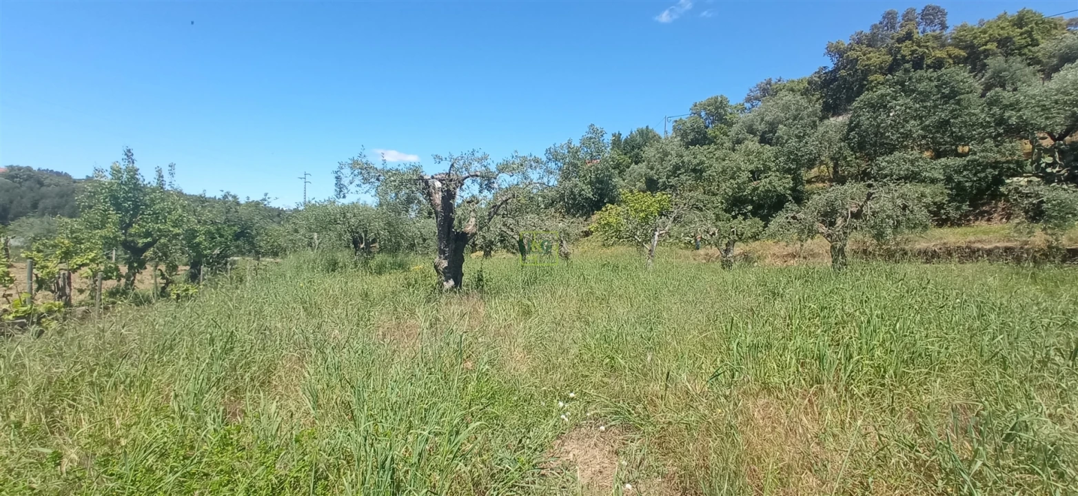 Moradia T0 para Venda em Aranhas Foto 30