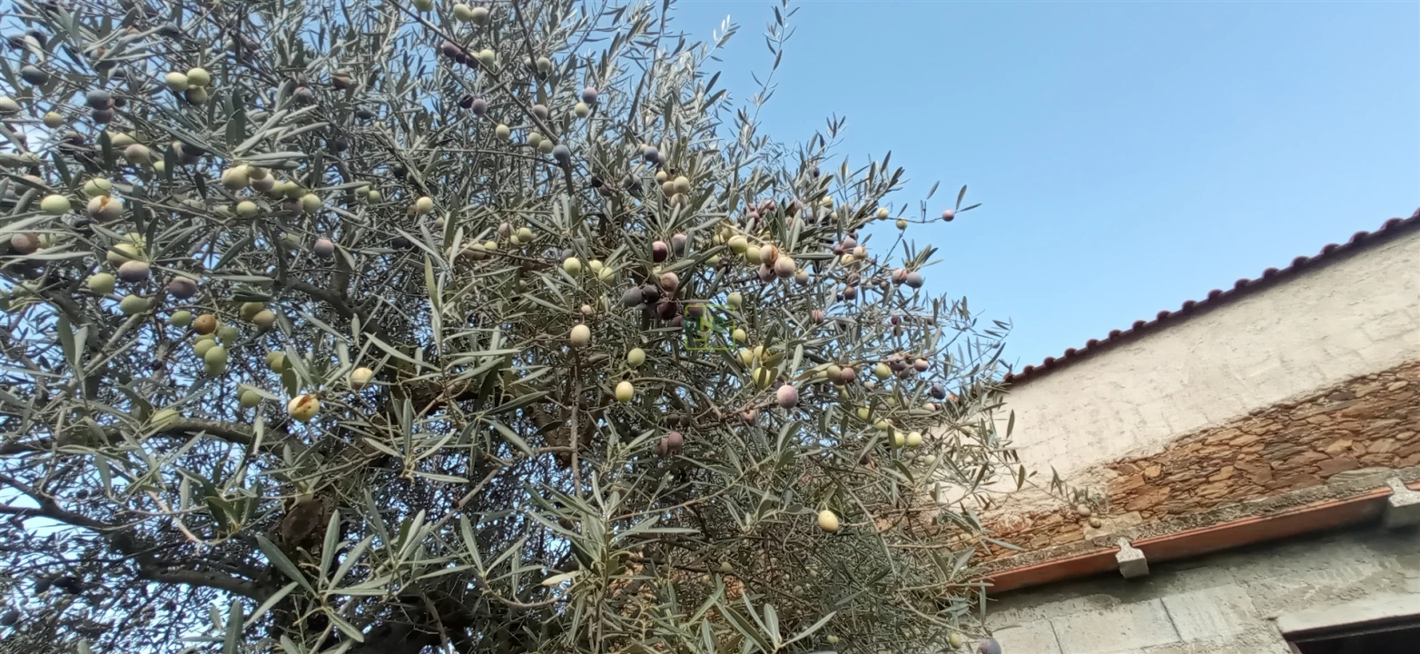 Moradia T0 para Venda em Aranhas Foto 9