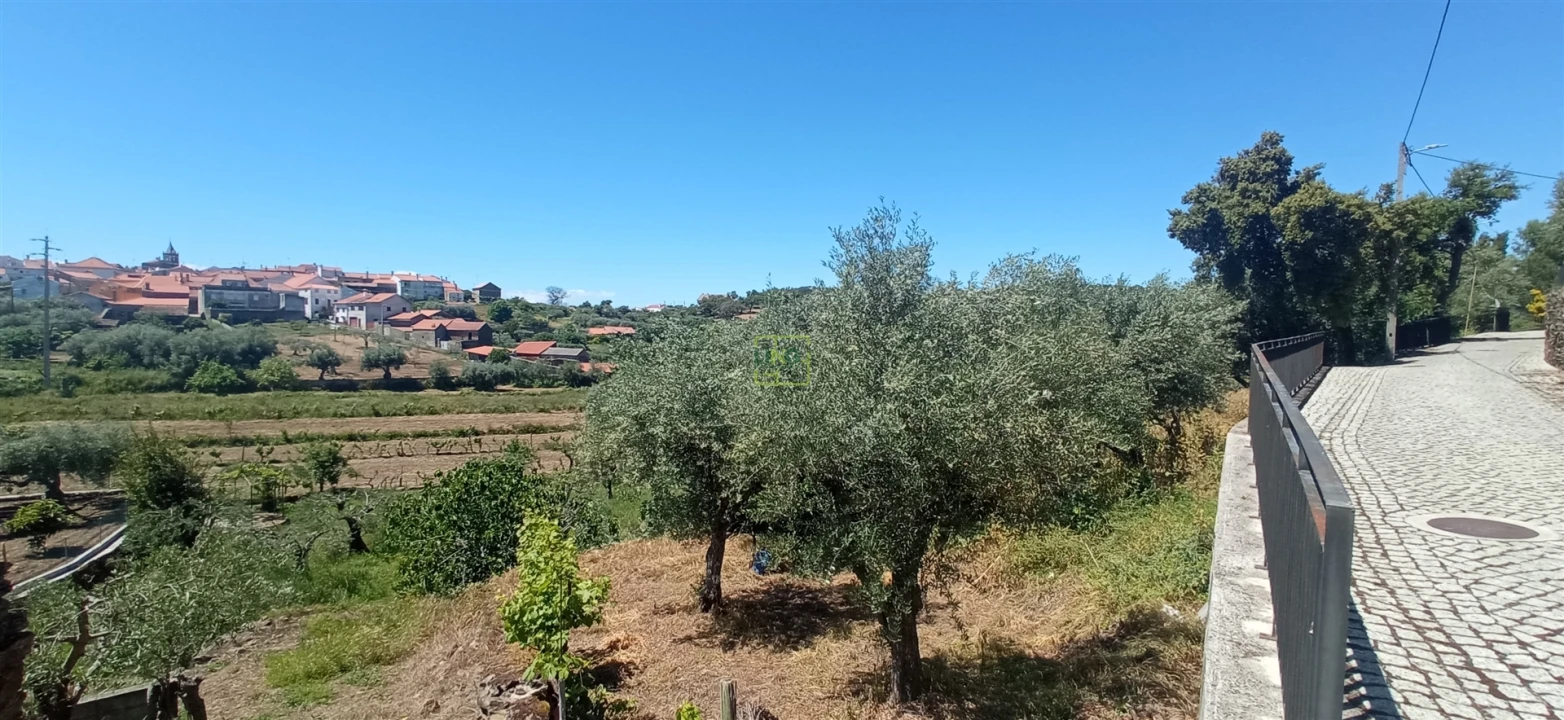 Moradia T0 para Venda em Aranhas Foto 12