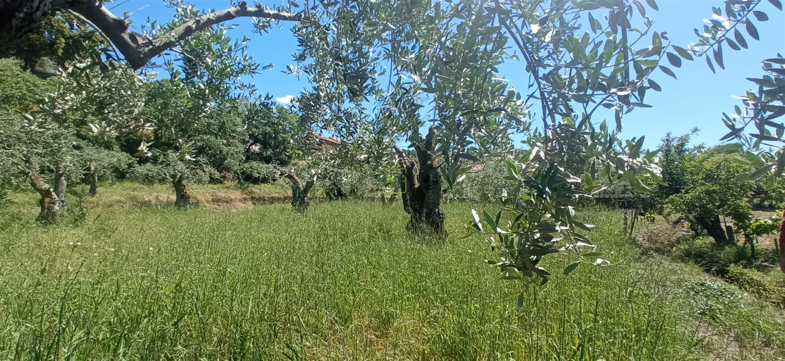 Moradia T0 para Venda em Aranhas Foto 26