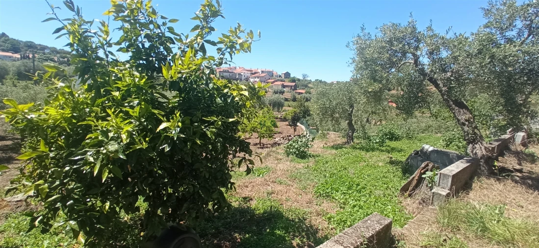 Moradia T0 para Venda em Aranhas Foto 19