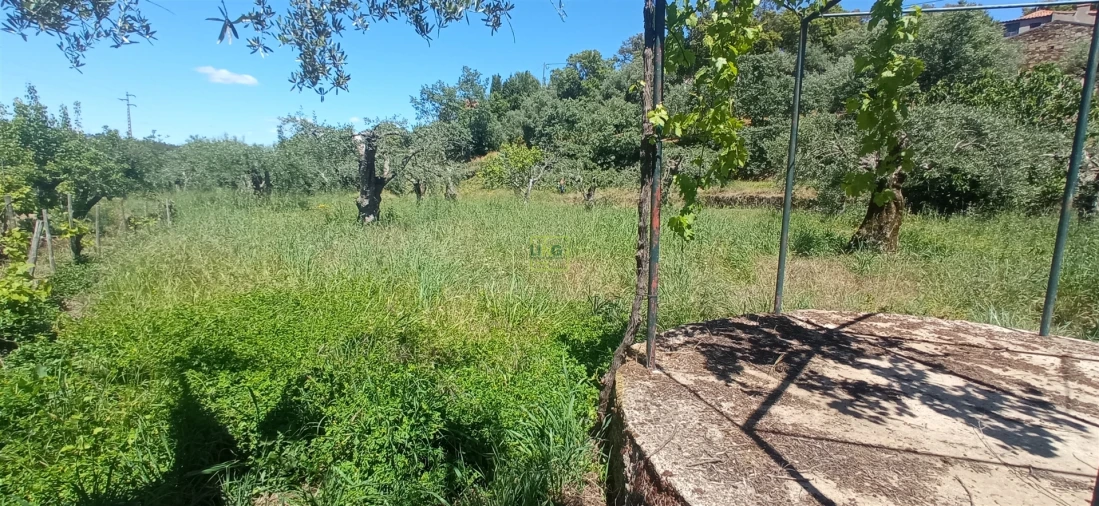 Moradia T0 para Venda em Aranhas Foto 27