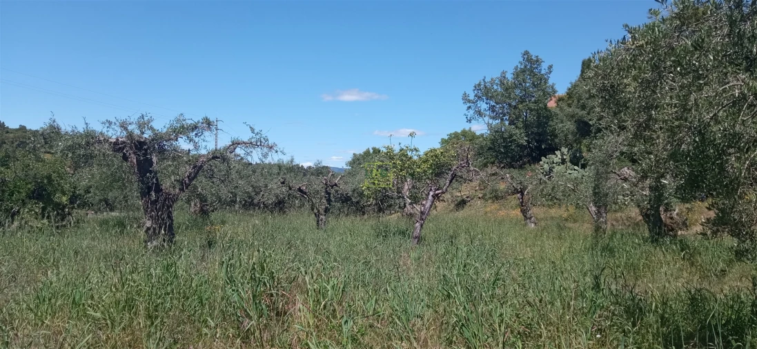 Moradia T0 para Venda em Aranhas Foto 31