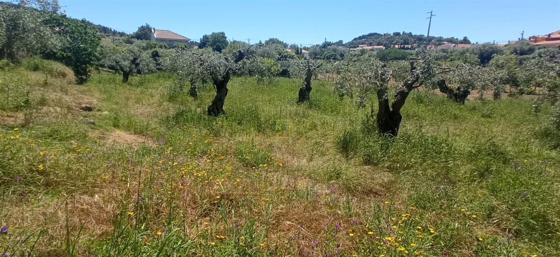 Moradia T0 para Venda em Aranhas Foto 25