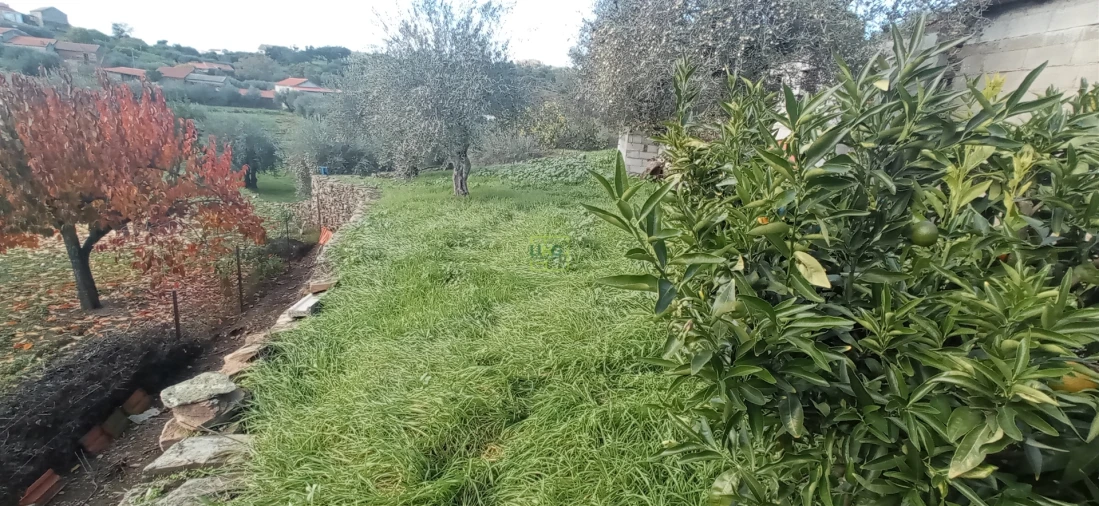 Moradia T0 para Venda em Aranhas Foto 8