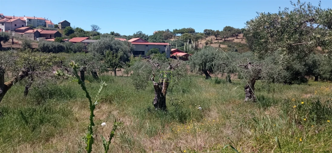 Moradia T0 para Venda em Aranhas Foto 32