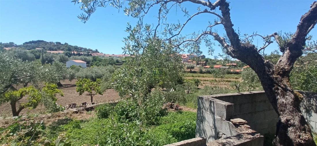 Moradia T0 para Venda em Aranhas Foto 17