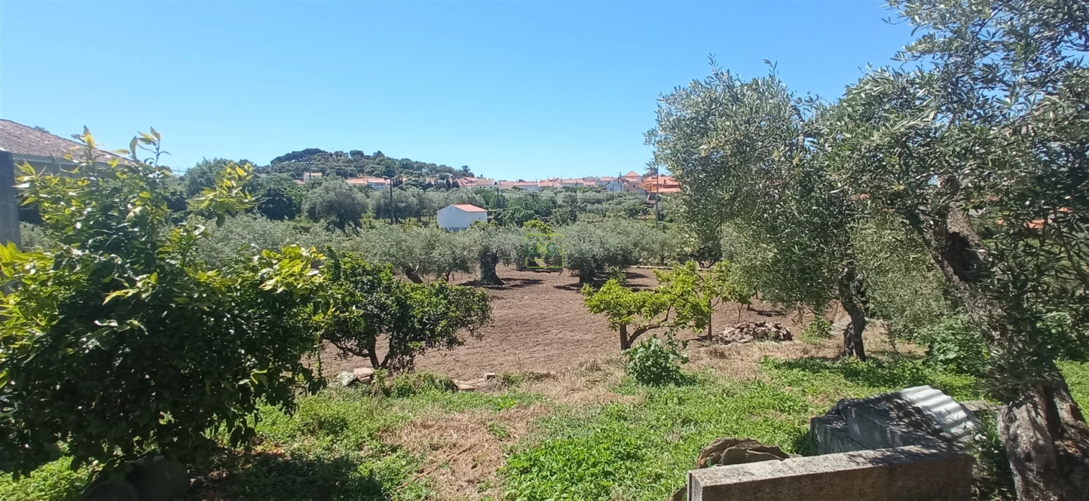 Moradia T0 para Venda em Aranhas Foto 23