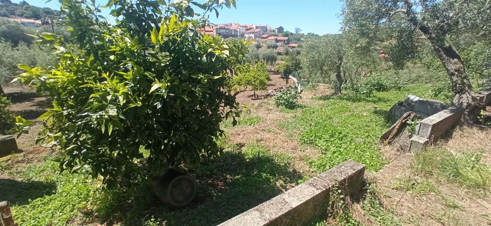 Moradia T0 para Venda em Aranhas Foto 18