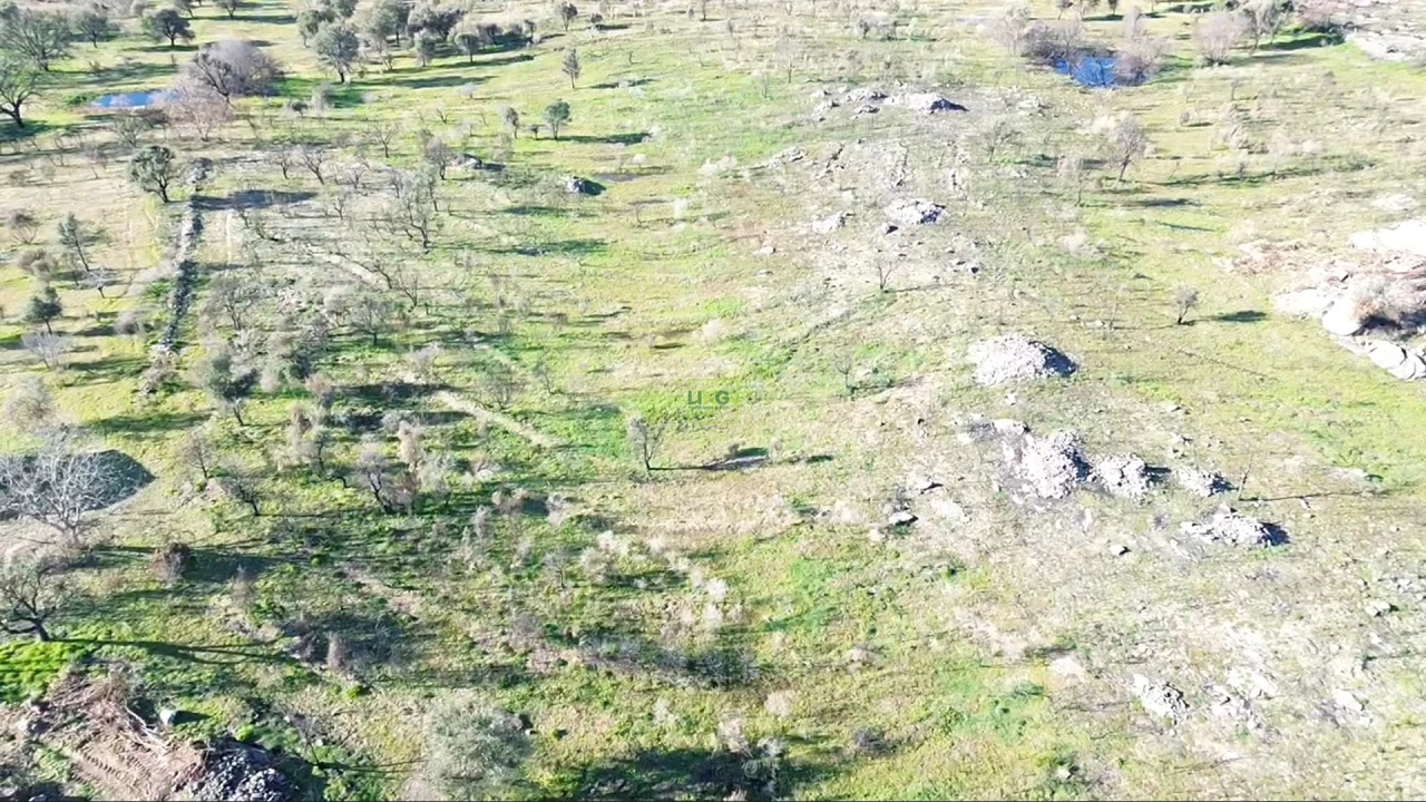 Quinta T0 para Venda em Aldeia do Bispo, Águas e Aldeia de João Pires Foto 8