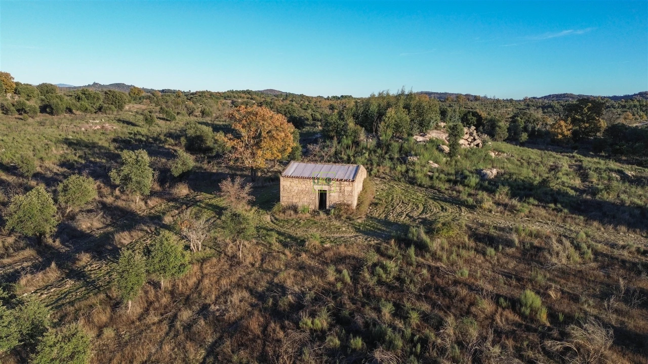 Quinta T0 para Venda em Aldeia do Bispo, Águas e Aldeia de João Pires Foto 17