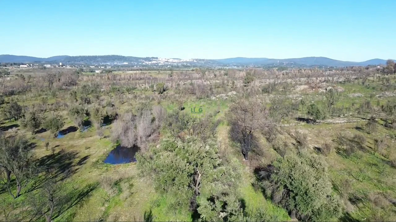 Quinta T0 para Venda em Aldeia do Bispo, Águas e Aldeia de João Pires Foto 12