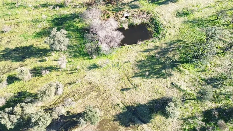 Quinta T0 para Venda em Aldeia do Bispo, Águas e Aldeia de João Pires Foto 12