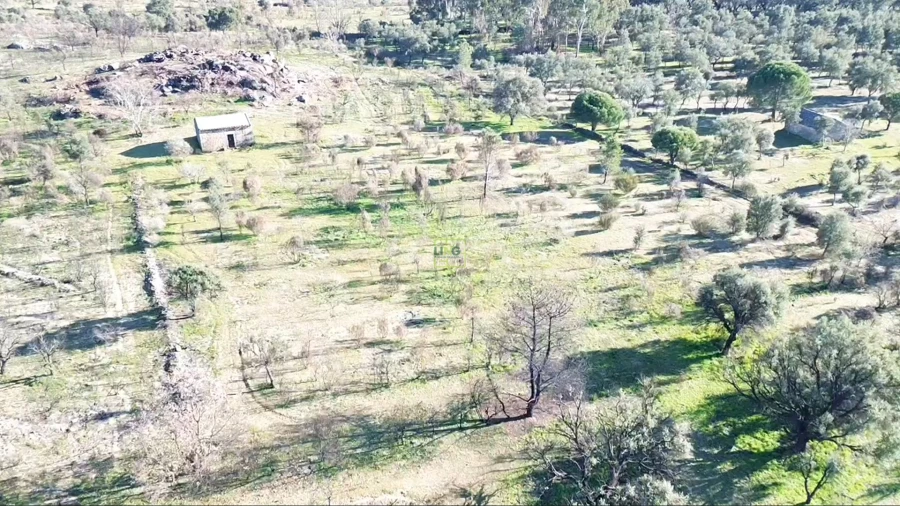 Quinta T0 para Venda em Aldeia do Bispo, Águas e Aldeia de João Pires