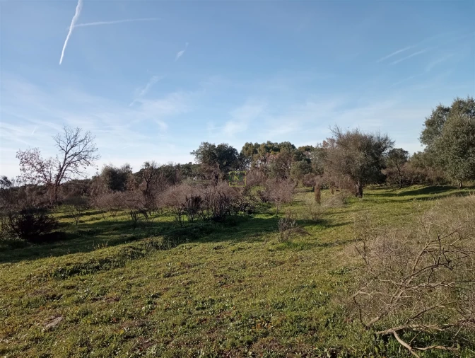 Quinta T0 para Venda em Aldeia do Bispo, Águas e Aldeia de João Pires Foto 7