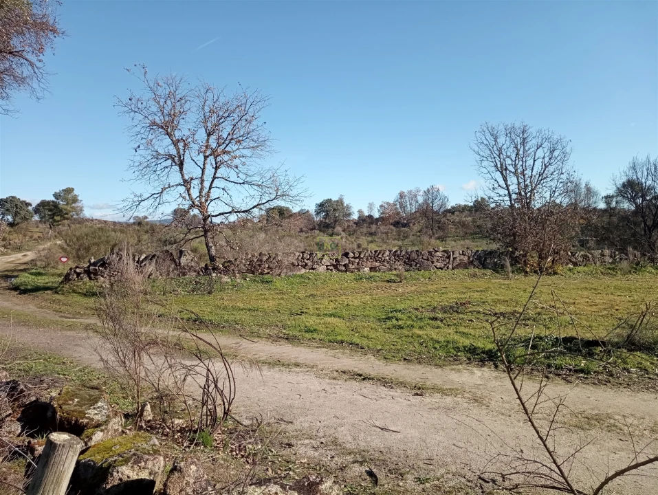 Quinta T0 para Venda em Aldeia do Bispo, Águas e Aldeia de João Pires Foto 6