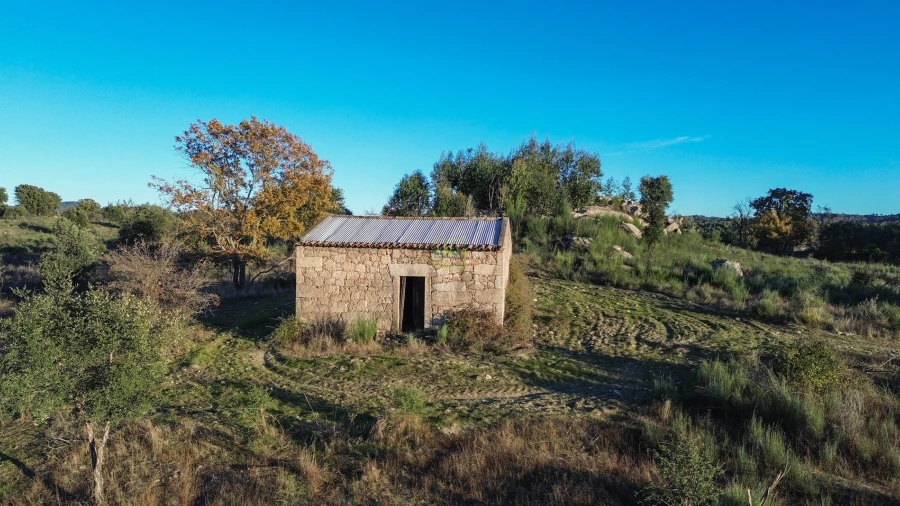 Quinta T0 para Venda em Aldeia do Bispo, Águas e Aldeia de João Pires