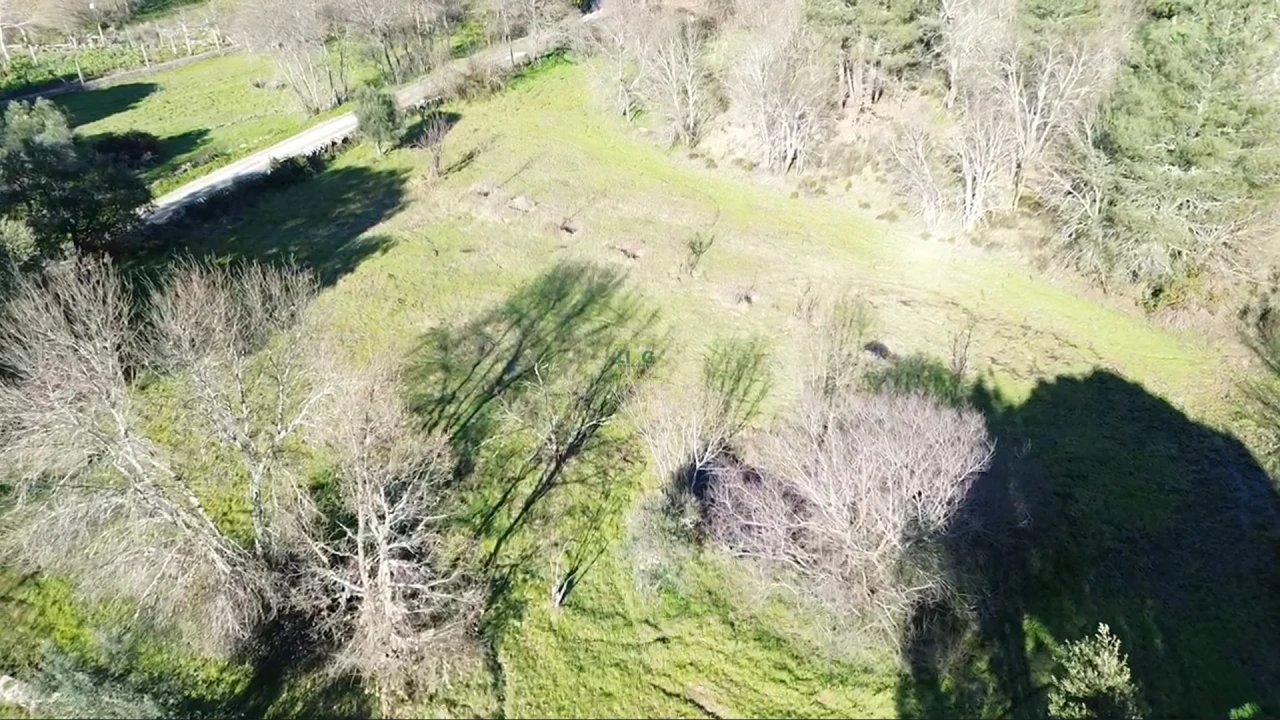 Terreno Agricola ou Rústico para Venda em Aldeia do Bispo, Águas e Aldeia de João Pires Foto 10