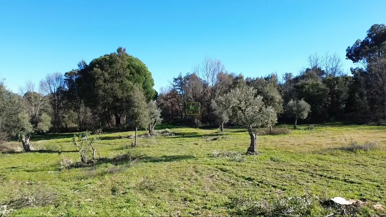 Terreno Agricola ou Rústico para Venda em Aldeia do Bispo, Águas e Aldeia de João Pires Foto 4