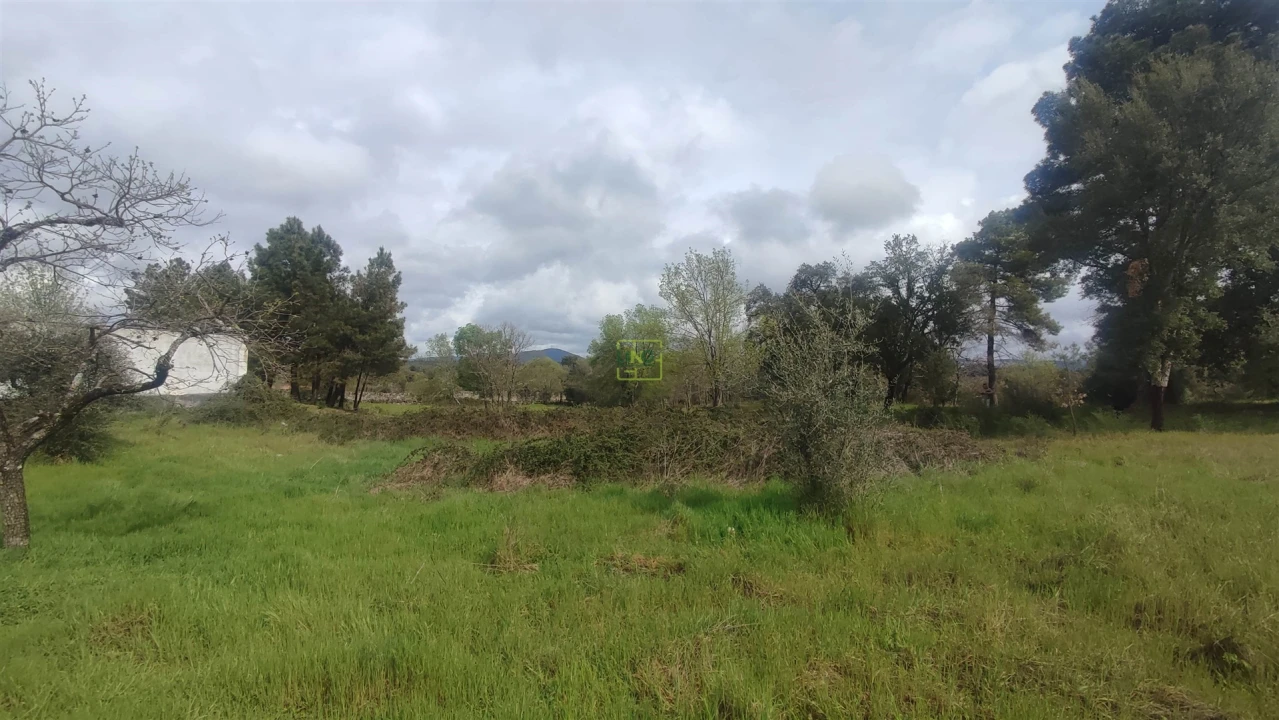 Terreno Agricola ou Rústico para Venda em Aldeia do Bispo, Águas e Aldeia de João Pires Foto 14