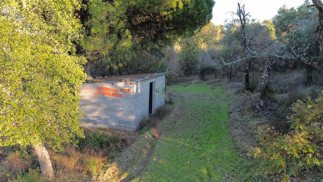 Terreno Agricola ou Rústico para Venda em Aldeia do Bispo, Águas e Aldeia de João Pires Foto 1