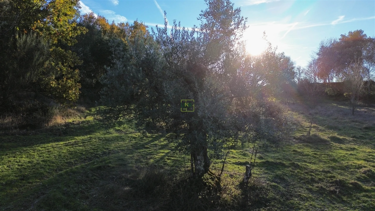 Terreno Agricola ou Rústico para Venda em Aldeia do Bispo, Águas e Aldeia de João Pires Foto 25
