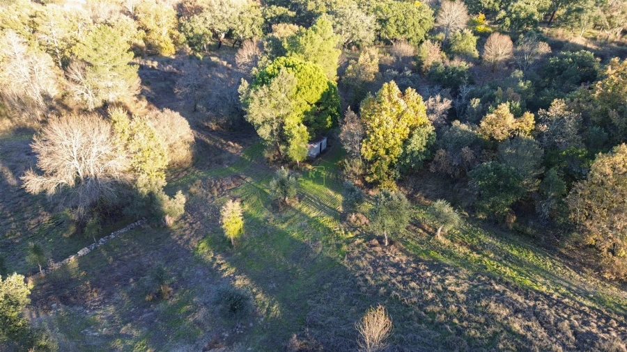 Terreno Agricola ou Rústico para Venda em Aldeia do Bispo, Águas e Aldeia de João Pires Foto 33