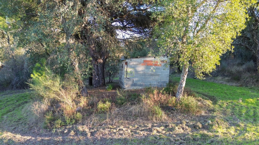 Terreno Agricola ou Rústico para Venda em Aldeia do Bispo, Águas e Aldeia de João Pires Foto 24