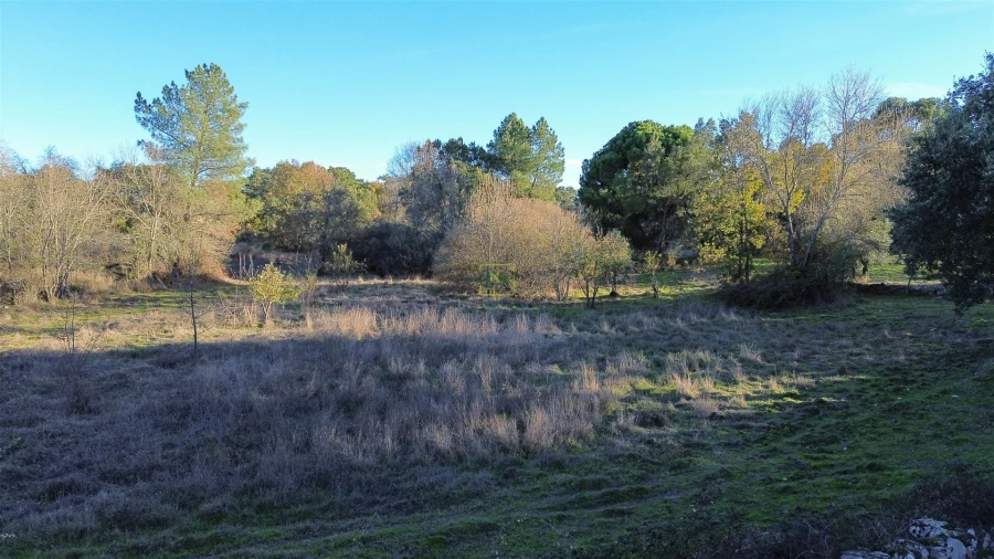 Terreno Agricola ou Rústico para Venda em Aldeia do Bispo, Águas e Aldeia de João Pires Foto 21