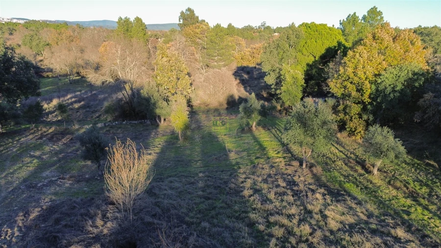 Terreno Agricola ou Rústico para Venda em Aldeia do Bispo, Águas e Aldeia de João Pires Foto 31