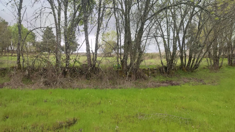 Terreno Agricola ou Rústico para Venda em Aldeia do Bispo, Águas e Aldeia de João Pires Foto 15