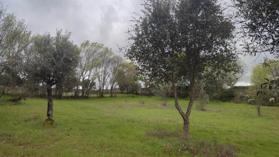 Terreno Agricola ou Rústico para Venda em Aldeia do Bispo, Águas e Aldeia de João Pires Foto 18