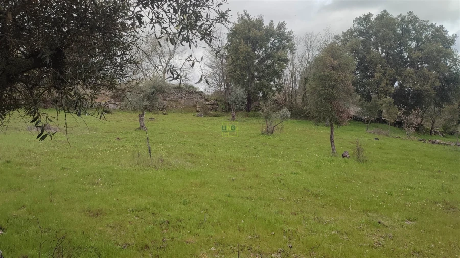 Terreno Agricola ou Rústico para Venda em Aldeia do Bispo, Águas e Aldeia de João Pires Foto 17